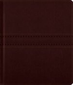 ESV Journaling Bible