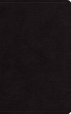 ESV Large Print Personal Size Bible