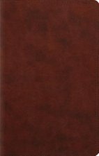ESV Large Print Personal Size Bible