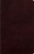 ESV Large Print Personal Size Bible