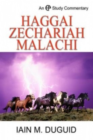 Study Commentary on Haggai, Zechariah and Malachi