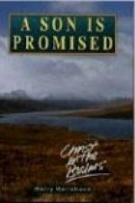 Son is Promised