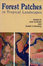 Forest Patches in Tropical Landscapes