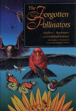 Forgotten Pollinators
