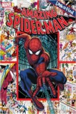 Amazing Spiderman Look & Find Book