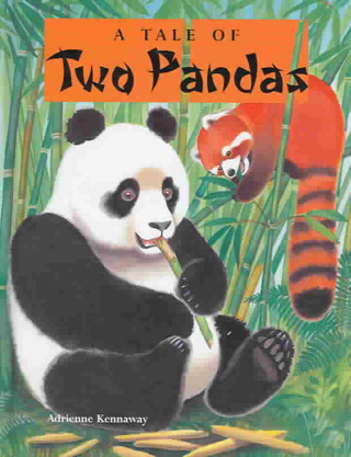 Tale of Two Pandas