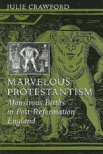 Marvelous Protestantism