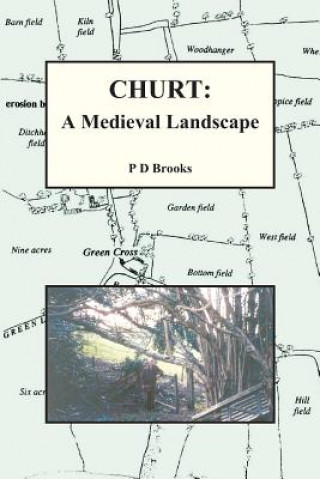 Churt: A Medieval Landscape