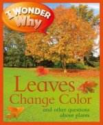 I Wonder Why Leaves Change Color