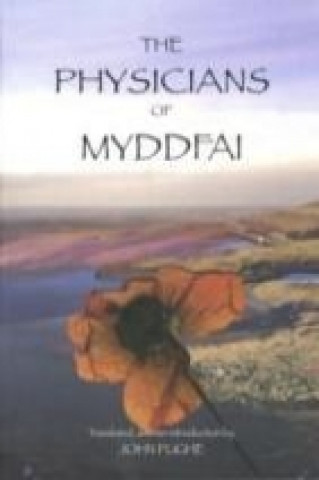 Physicians of Myddfai