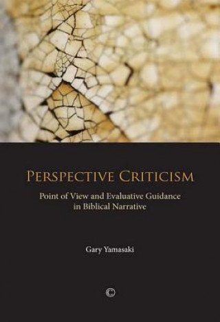 Perspective Criticism