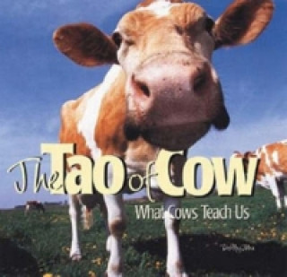 Tao of Cow