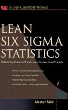 Lean Six Sigma Statistics