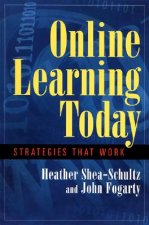 Online Learning today- Strategies that Work