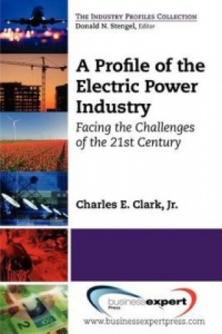 Profile of the Electric Power Industry