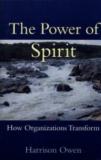 Power of Spirit: How Organizations Transform
