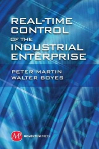Real Time Control of the Industrial Enterprise