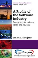 Profile of the Software Industry: Emergence, Ascendance, Risks, and Rewards