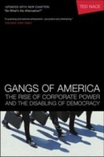 Gangs of America; The Rise of Corporate Power and the Disabling of Democracy