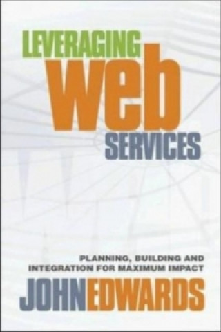 Leveraging Web Services