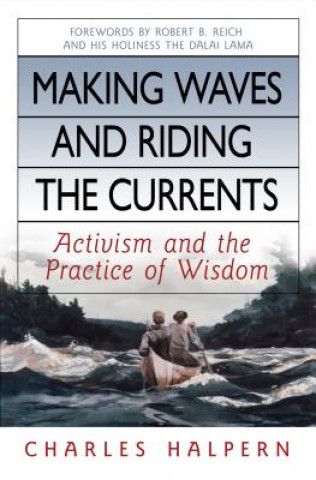 Making Waves and Riding the Currents. Activism and the Practice of Wisdom.