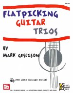 GESLISON FLATPICKING GTR TRIOS BK