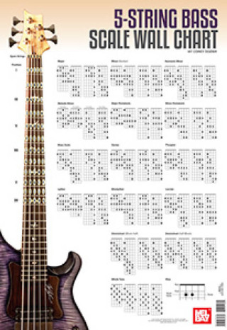 5 STRING BASS GUTIAR SCALE WALL CHART