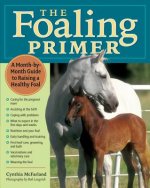 Foaling Primer