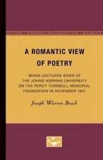 Romantic View of Poetry