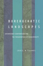 Bureaucratic Landscapes