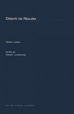 Essays On Realism