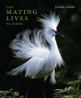 MATING LIVES OF BIRDS