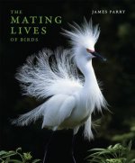 MATING LIVES OF BIRDS