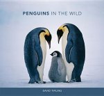 PENGUINS IN THE WILD