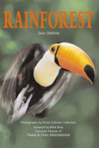 Rainforest (USA)
