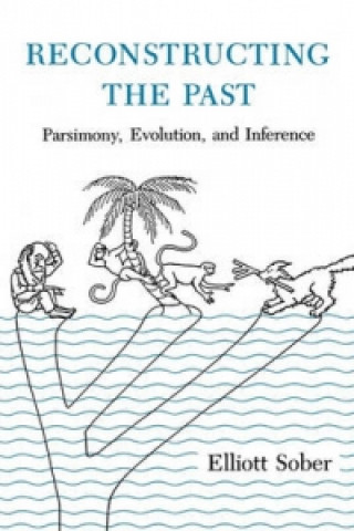 Reconstructing the Past