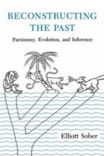 Reconstructing the Past