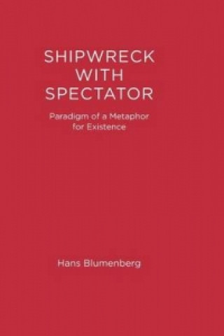 Shipwreck with Spectator