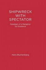 Shipwreck with Spectator
