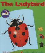 Ladybird