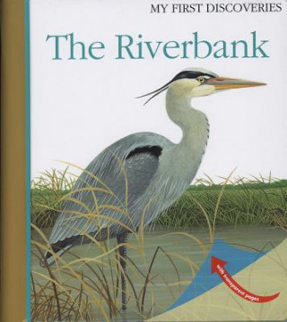 Riverbank