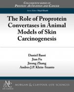 Role of Proprotein Convertases in Animal Models of Skin Carcinogenesis