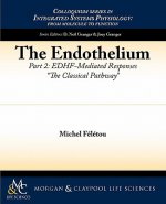 Endothelium, Part II