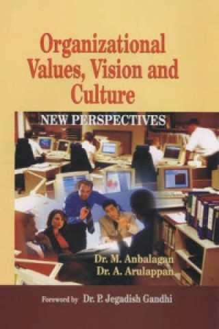 Organizational Values, Vision and Culture