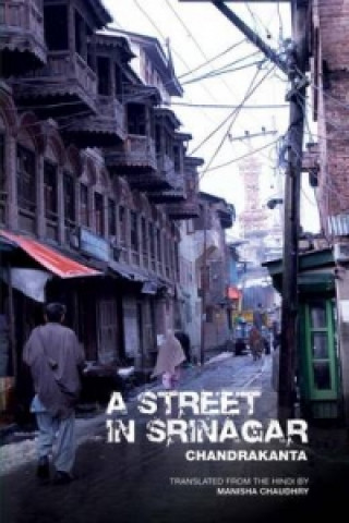 Street in Srinagar