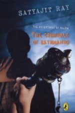 Criminals Of Kathmandu