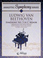 BEETHOVEN SYMPHONY NO 5 CMIN ANALYTIC SY