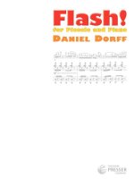 DORFF FLASH PICCOLO PIANO