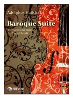 HAILSTORK BAROQUE SUITE VIOLIN PIANOHARP