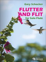 SCHOCKER FLUTTER FLIT SOLO FLUTE